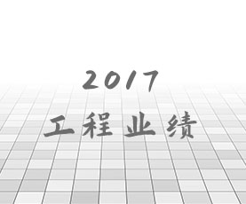 2017年工程业绩