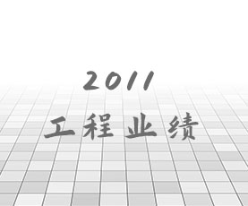 2011年工程业绩