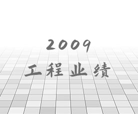 2009年工程业绩